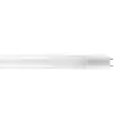 LED-putkivalo + sytytin T8/26 18W G13 12 - Lampor - 8354 - 1