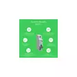 Schneider Electric Johdonsuojakatkaisija Easy9 MCB 1B16 6kA - Ryhmäkeskukset ja tarvikkeet - 78486 - 3
