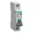 Easy9 MCB 1C16 6kA Schneider Electric - Ryhmäkeskukset ja tarvikkeet - 7858 - 1